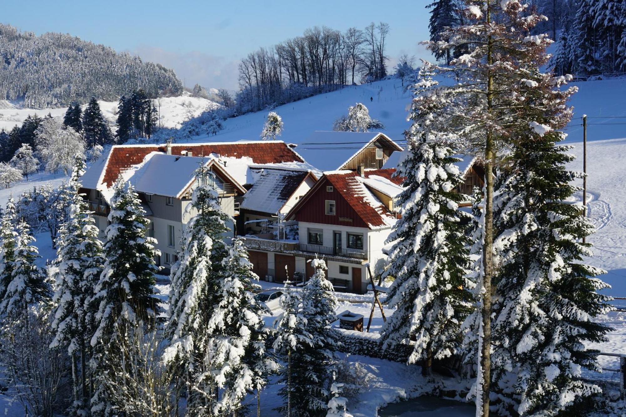 Muellerleile Hof Villa Haslach im Kinzigtal Kültér fotó