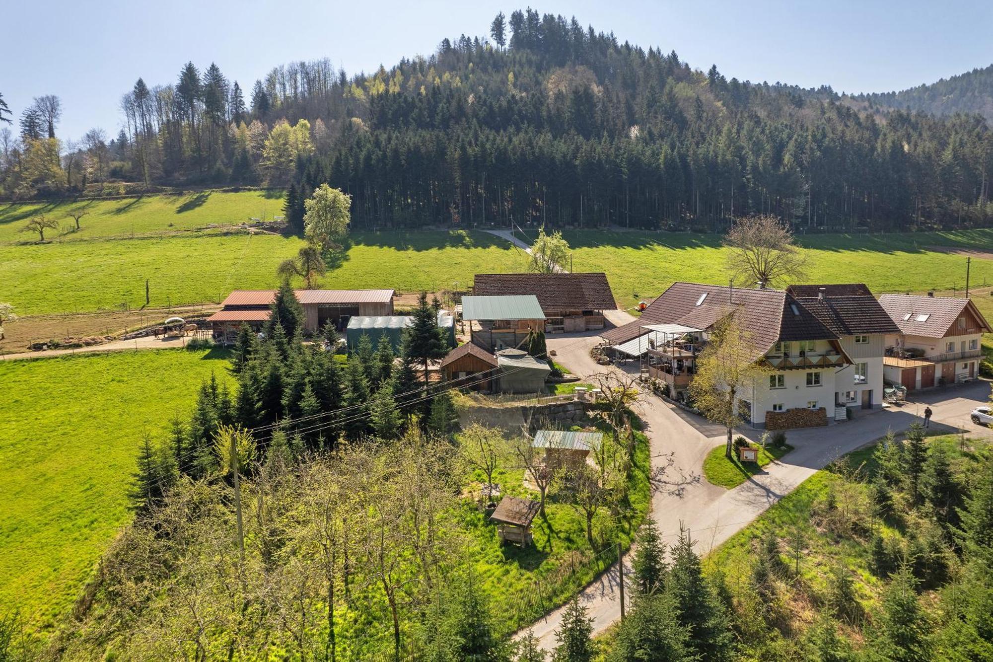 Muellerleile Hof Villa Haslach im Kinzigtal Kültér fotó